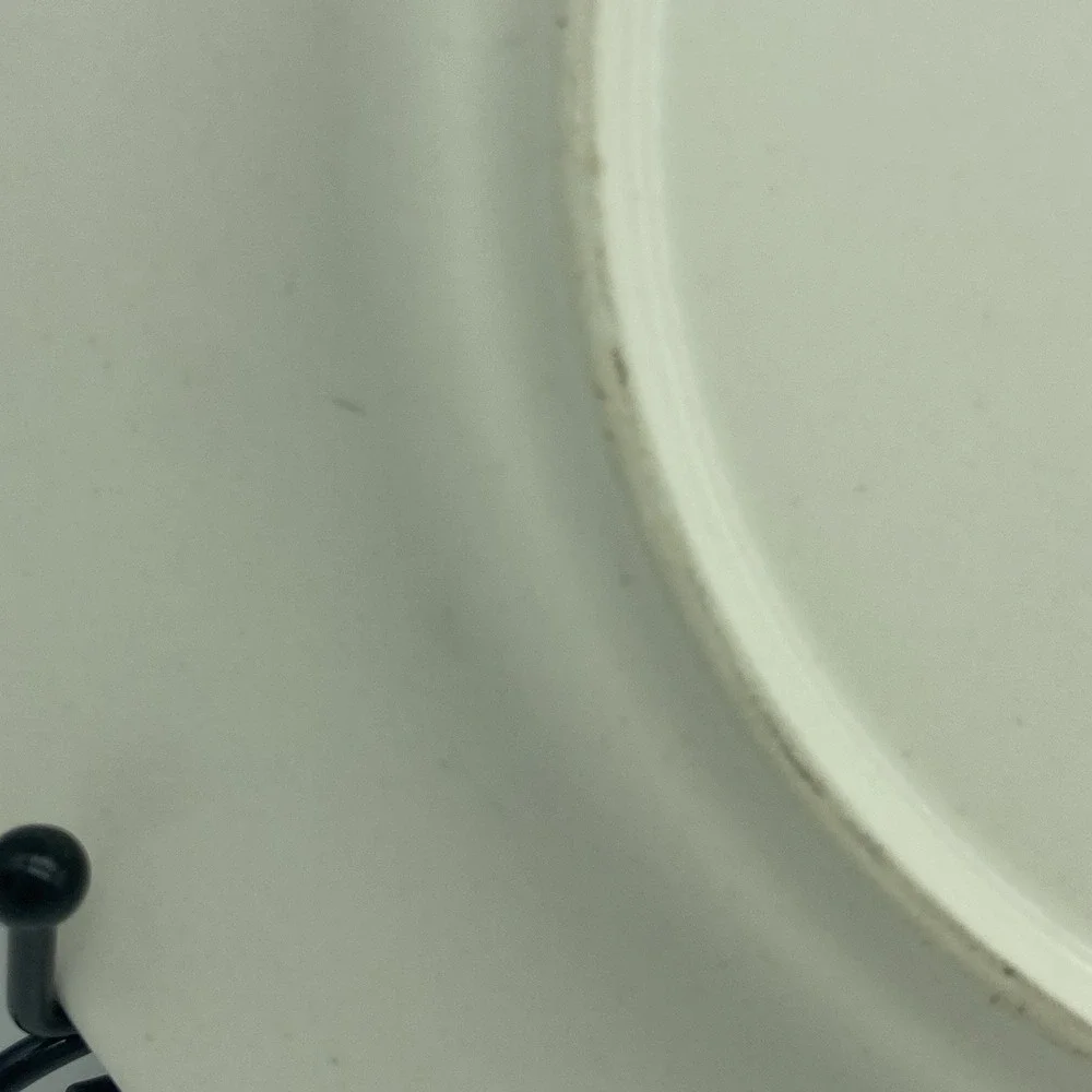 Portfolio Pfaltzgraff Naturewood Dinner Plates 11